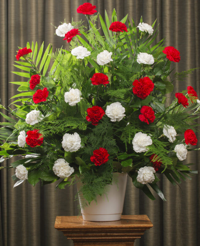 FUNERAL CARNATION 36 RED WHITE