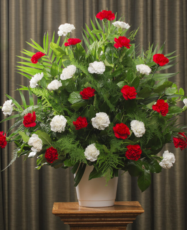 FUNERAL CARNATION 30 RED/WHITE