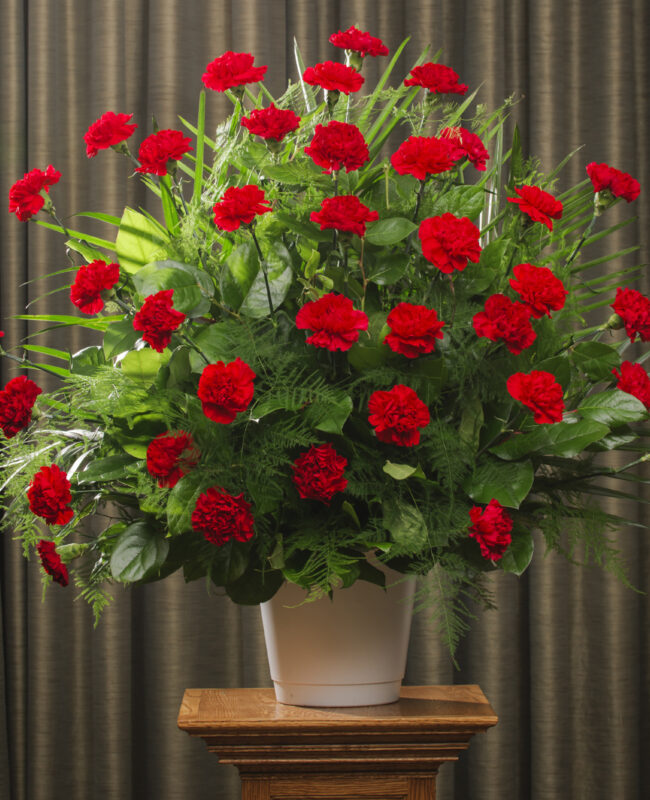 FUNERAL CARNATION 36 RED