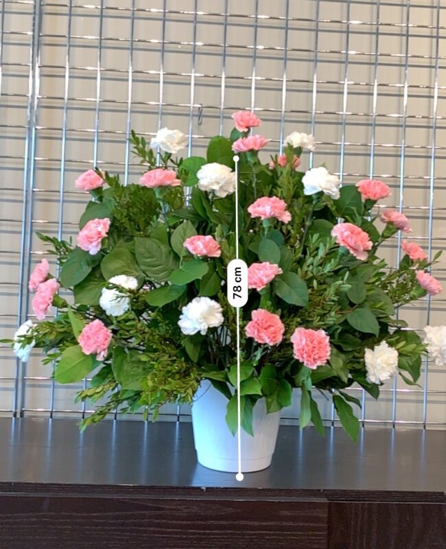 Boutique Funeral Carnation 30 pink white