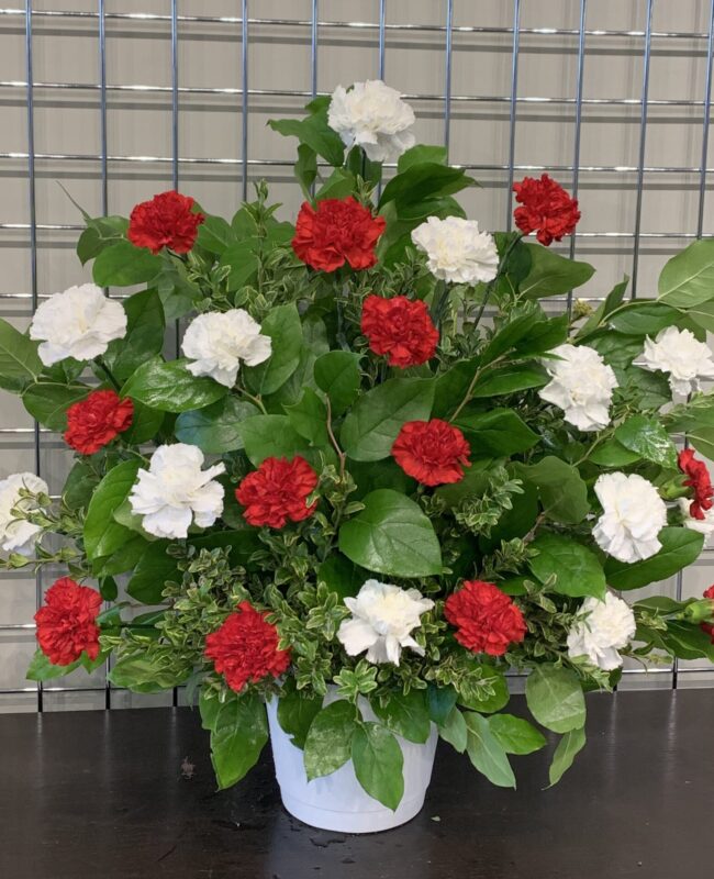 Red & White Carnation Tribute
