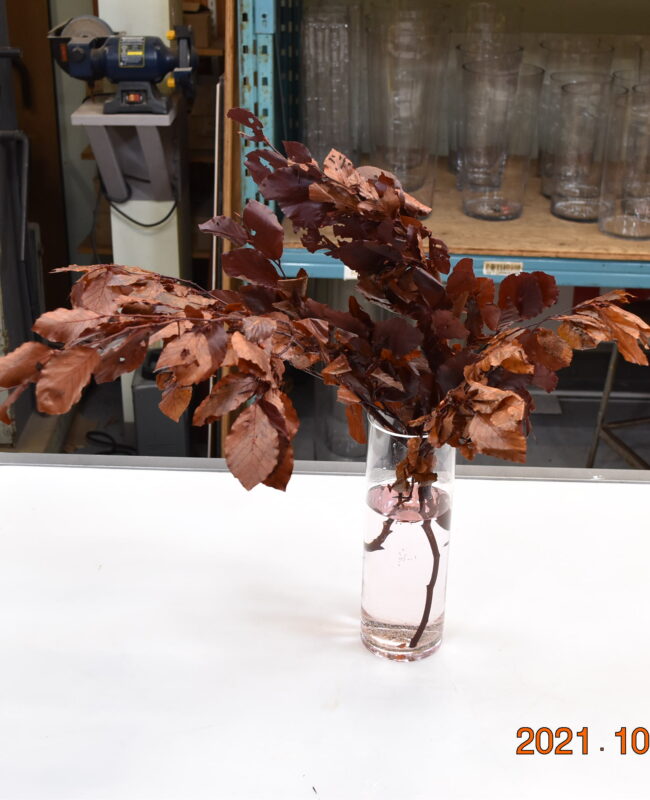 BEECH LEAVES PRESERVED BROWN 250g