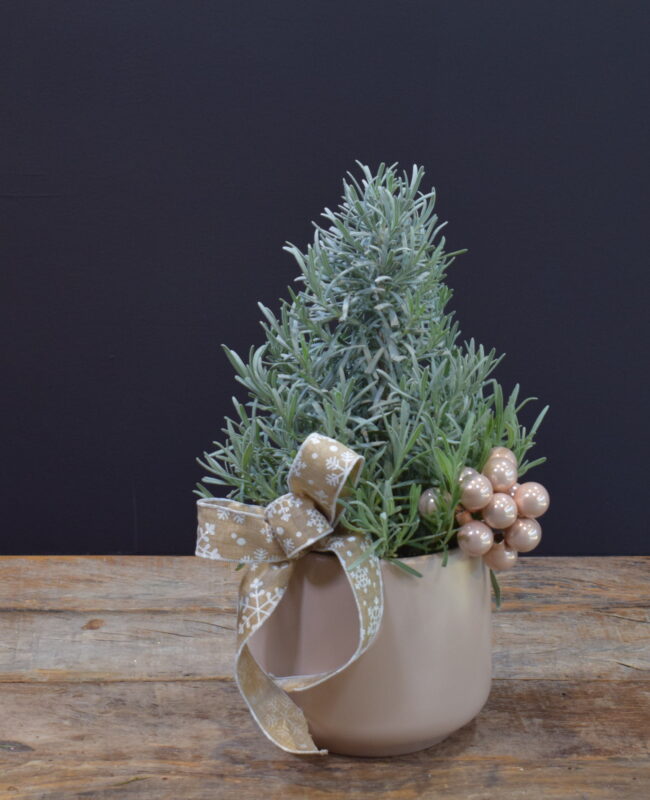 It's A Lavender Christmas Tree with Blush