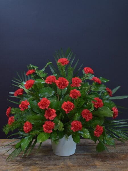 Boutique Funeral Carnation 24 Red