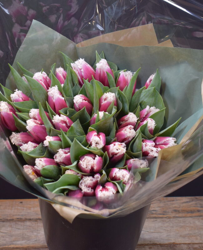 Enchanting Tulips Bouquet