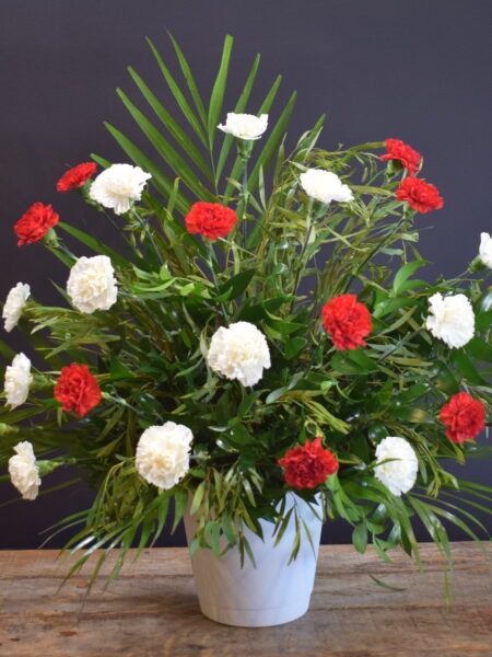 FUNERAL CARNATION 24 RED WHITE