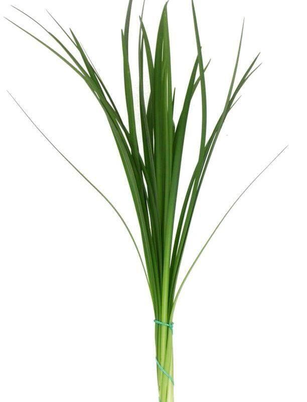 Lily Grass 100g