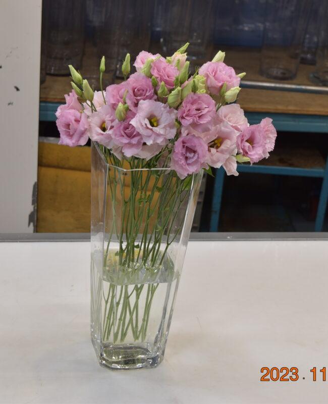 LISIANTHUS DOUBLE PINK